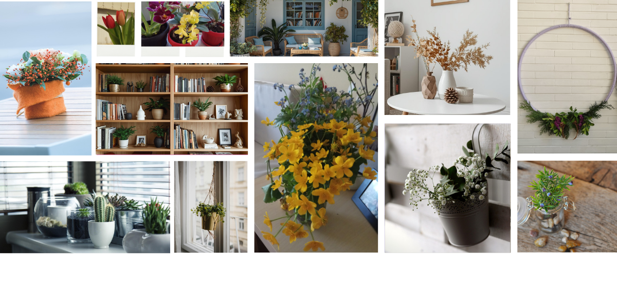 El encanto natural de las plantas: deco fácil y accesible