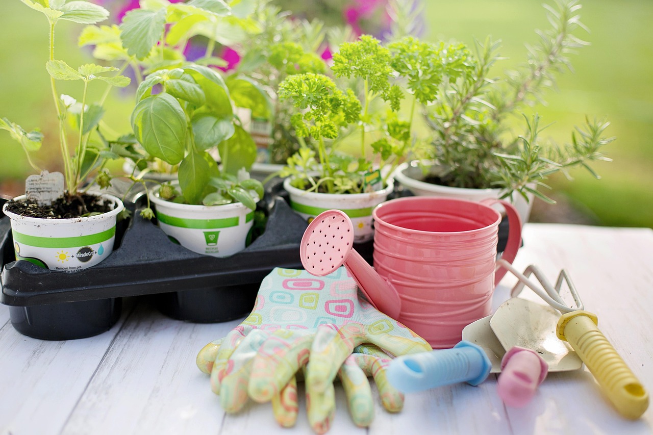Materiales básicos para iniciarte en la jardinería
