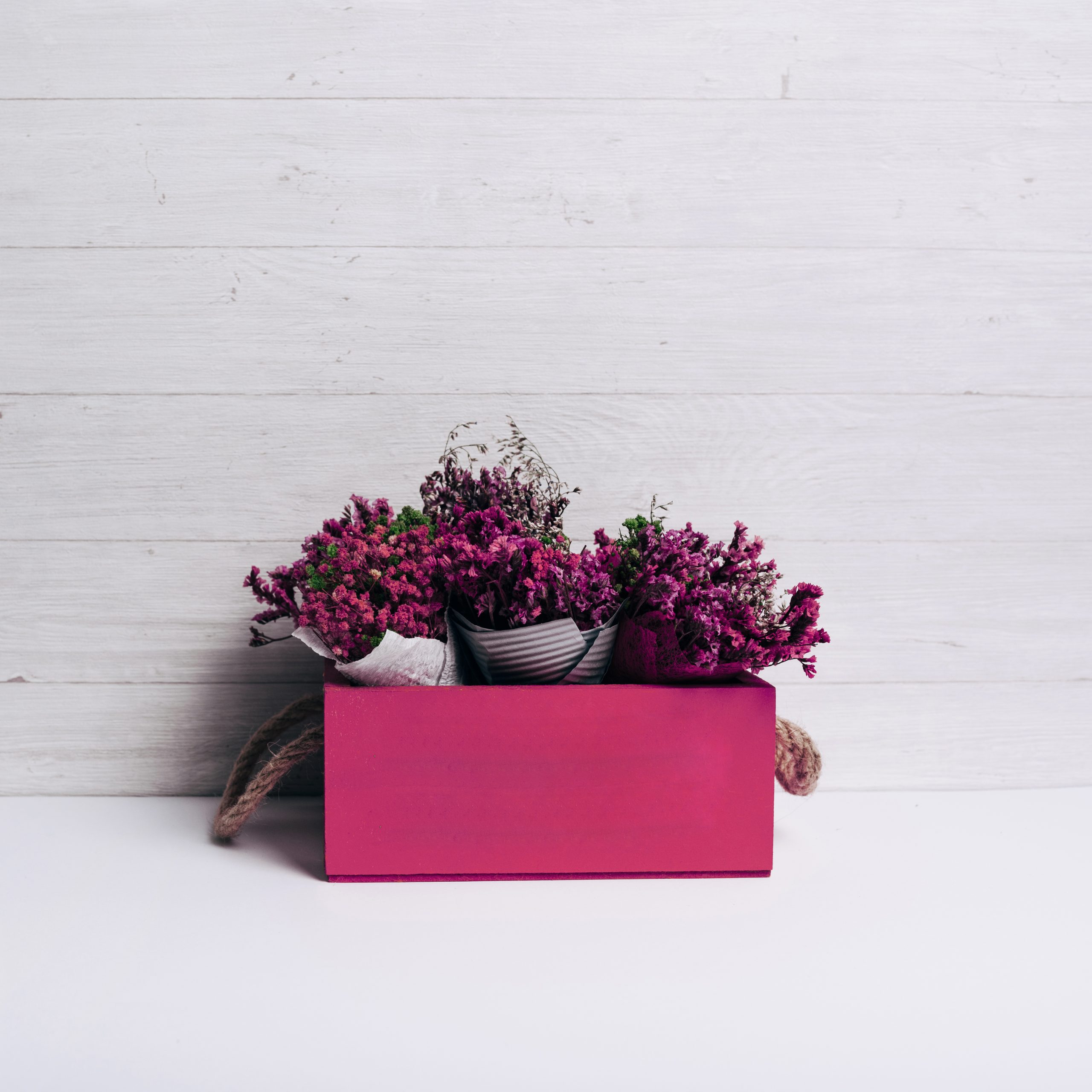 Mini jardines decorativos para la mesa