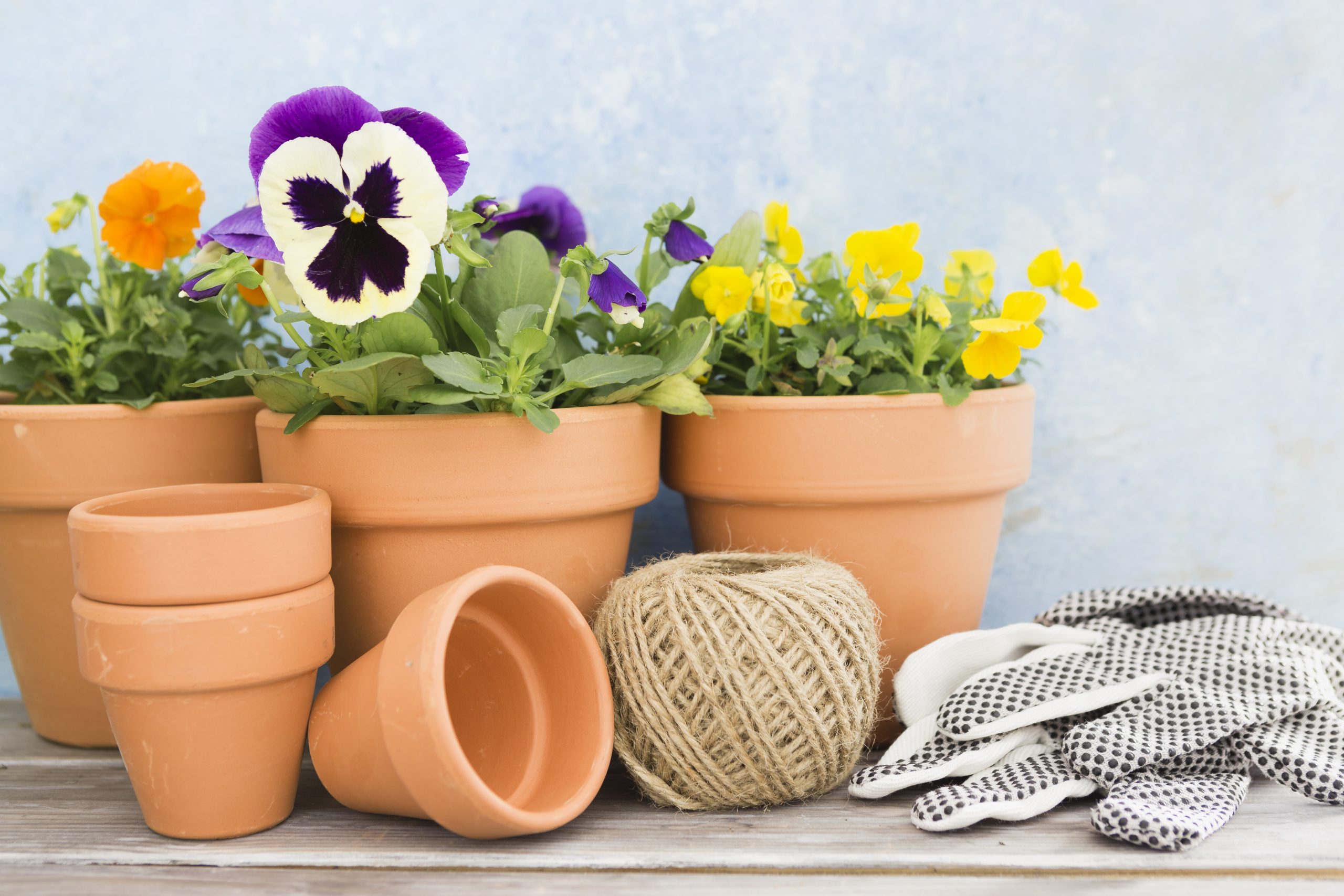 Errores comunes al empezar en jardinería (y cómo evitarlos)